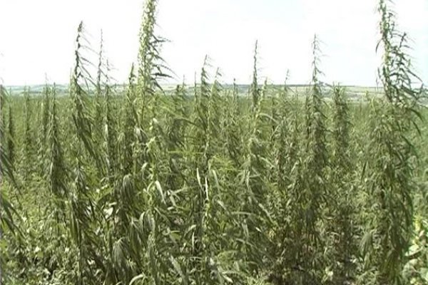 Кракен тор kr2web in