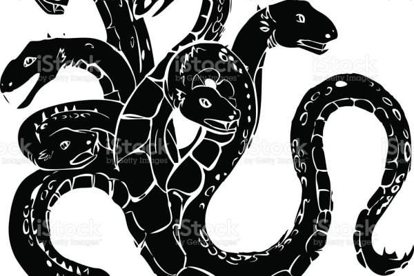 Kraken 24at